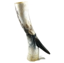 natural shoe horn